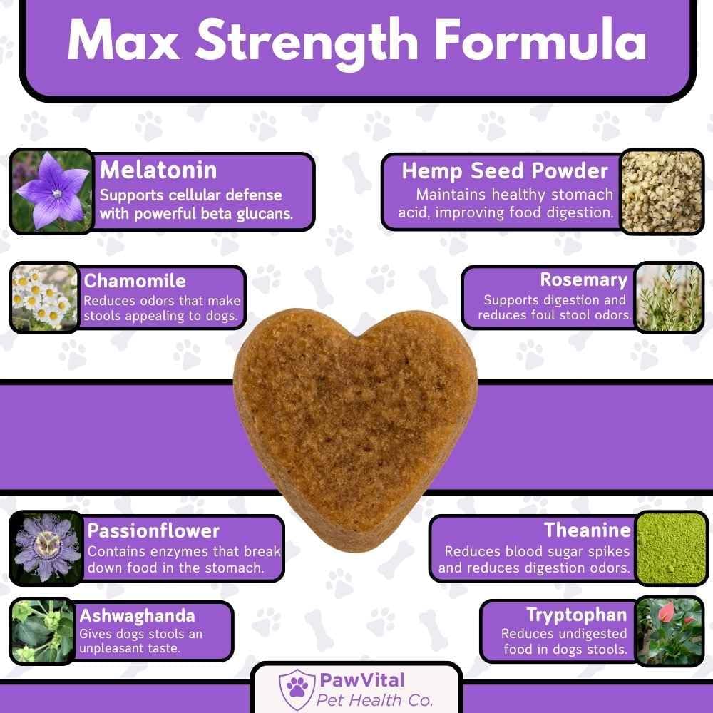 Melatonin Calming Chews for Dogs – Natural Sleep Aid & Anxiety Relief – Dog Calming Treats with Chamomile, Valerian Root, Ashwagandha & Theanine – 90 Soft Chews for Small & Large Breeds