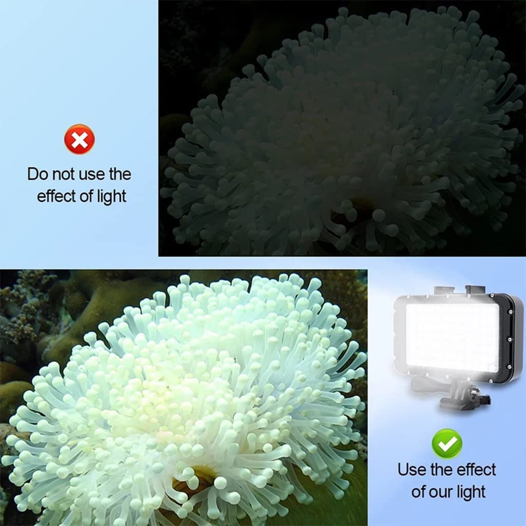 Luz de buceo subacuática de 50 m, lámpara de llenado LED de alta potencia con 4 modos de iluminación y 84 LED de 2600 mAh, batería de 5000 lux
