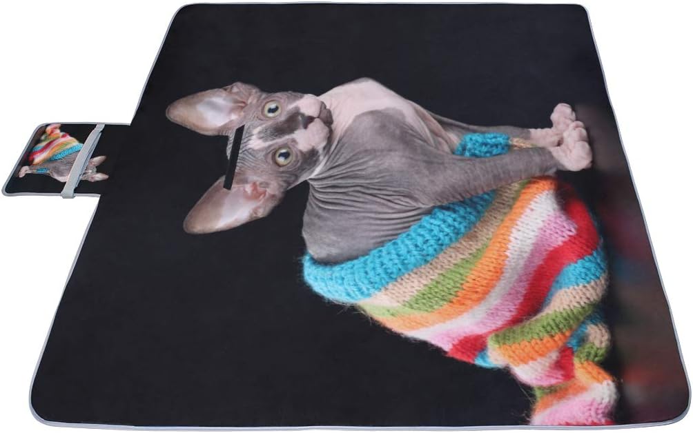 レジャーシート すばやい スフィンクス猫 ピクニック 折りたたみ 撥水 アウトドア クッション マット コンパクト 花見 運動会 キ