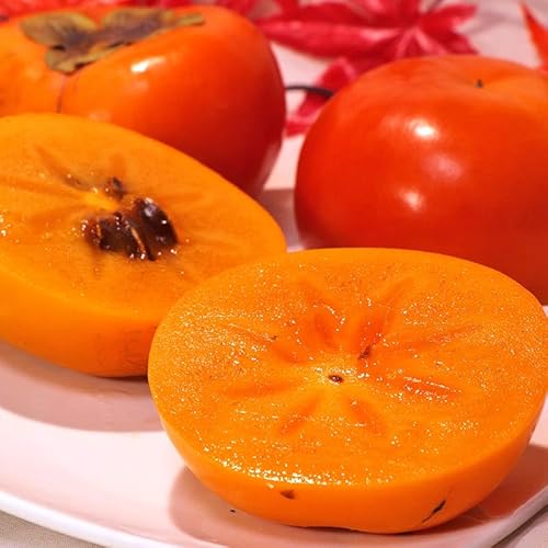 xL` ӂ䂤 3.75kg 10`18 a̎RYS Ki Yʂ̍łÊ`I炩ȐHɋÂ݂ƖLxȉʏ`