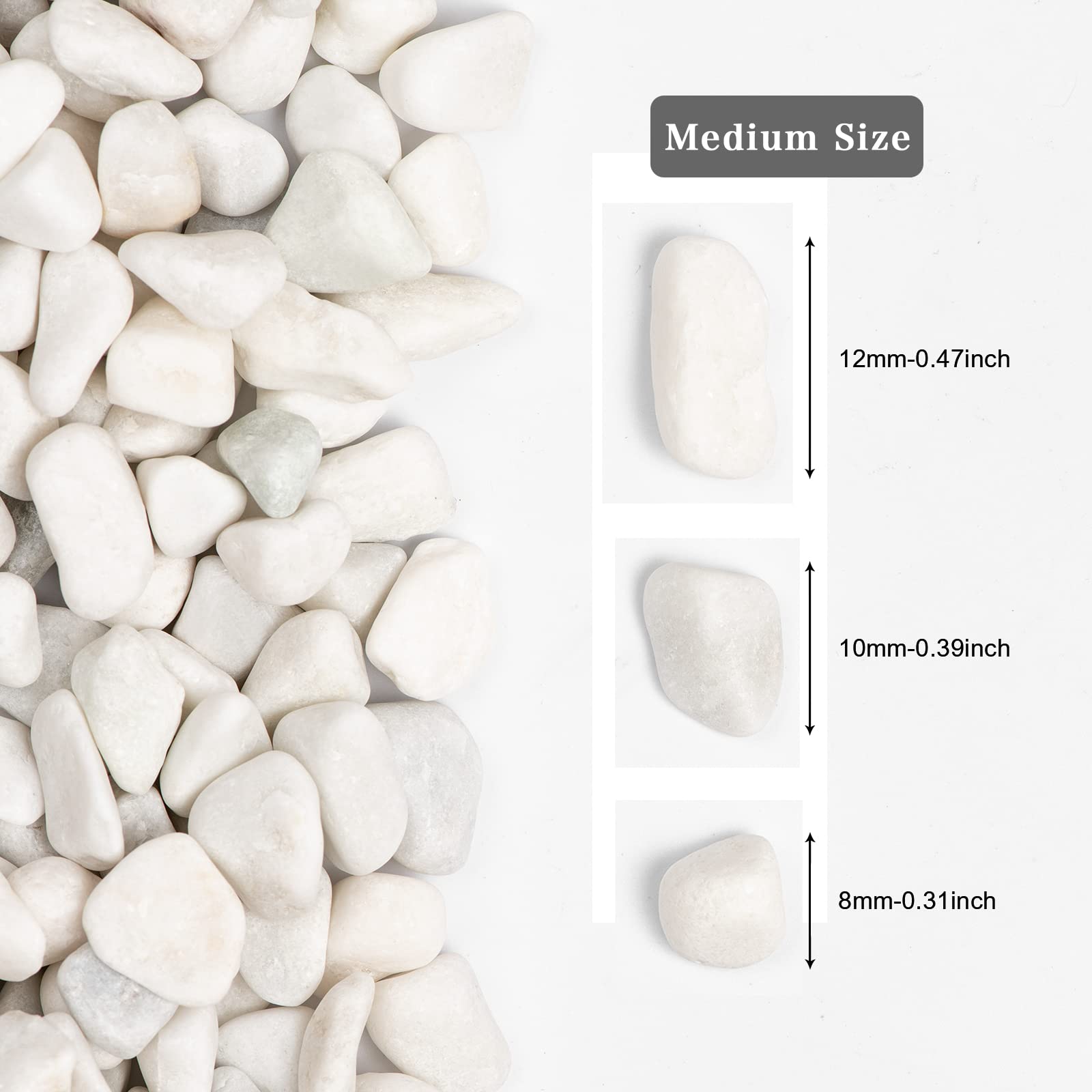 Rocas de río naturales blancas de 5 libras, piedras pulidas para plantas de jardín, piedras blancas decorativas de 0.3 a 0.8 pulgadas, ideal para peceras, jarrones, manualidades, decoración