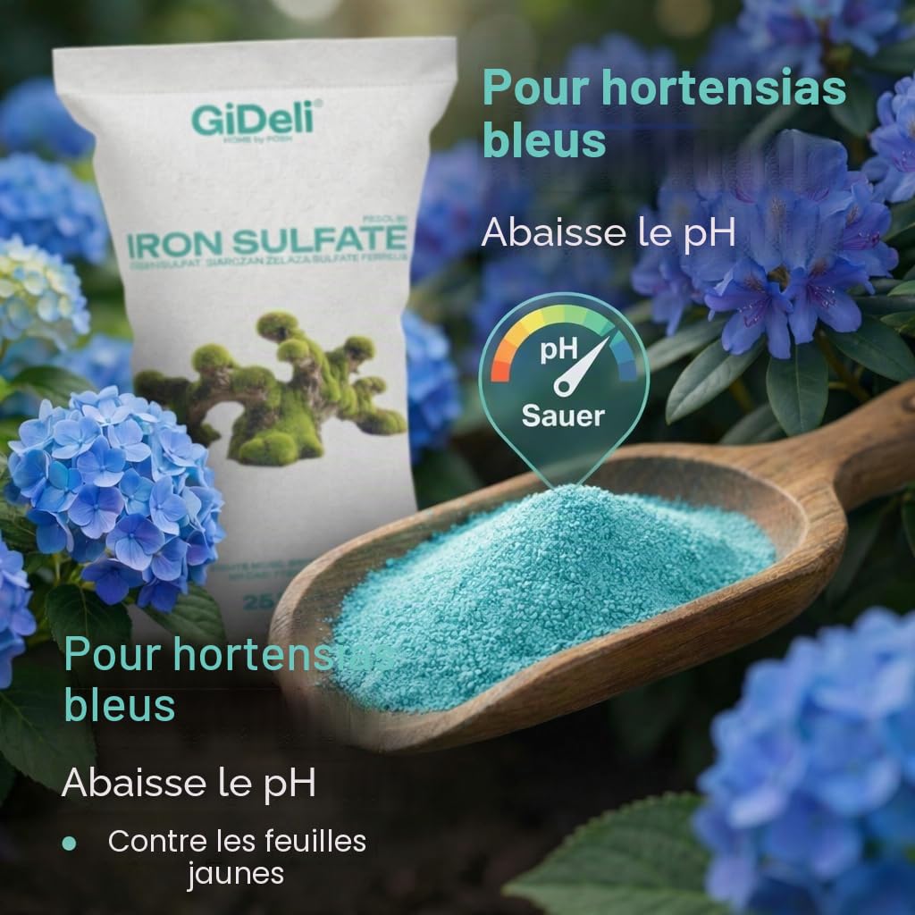 GiDeli Sulfate de Fer 10kg in Eimer - Poudre Anti Mousse Abaisser le pH du sol - Améliorer l'aspect et la Couleur du Jardin. - Favorise le développement des plantes acidophiles