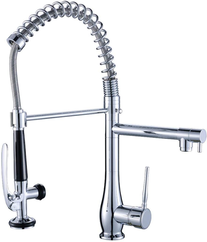 FLG Spring Single Handle Pull Down Kitchen Sink Faucet with Sprayer, Commercial Pre Rinse Faucet, Chrome