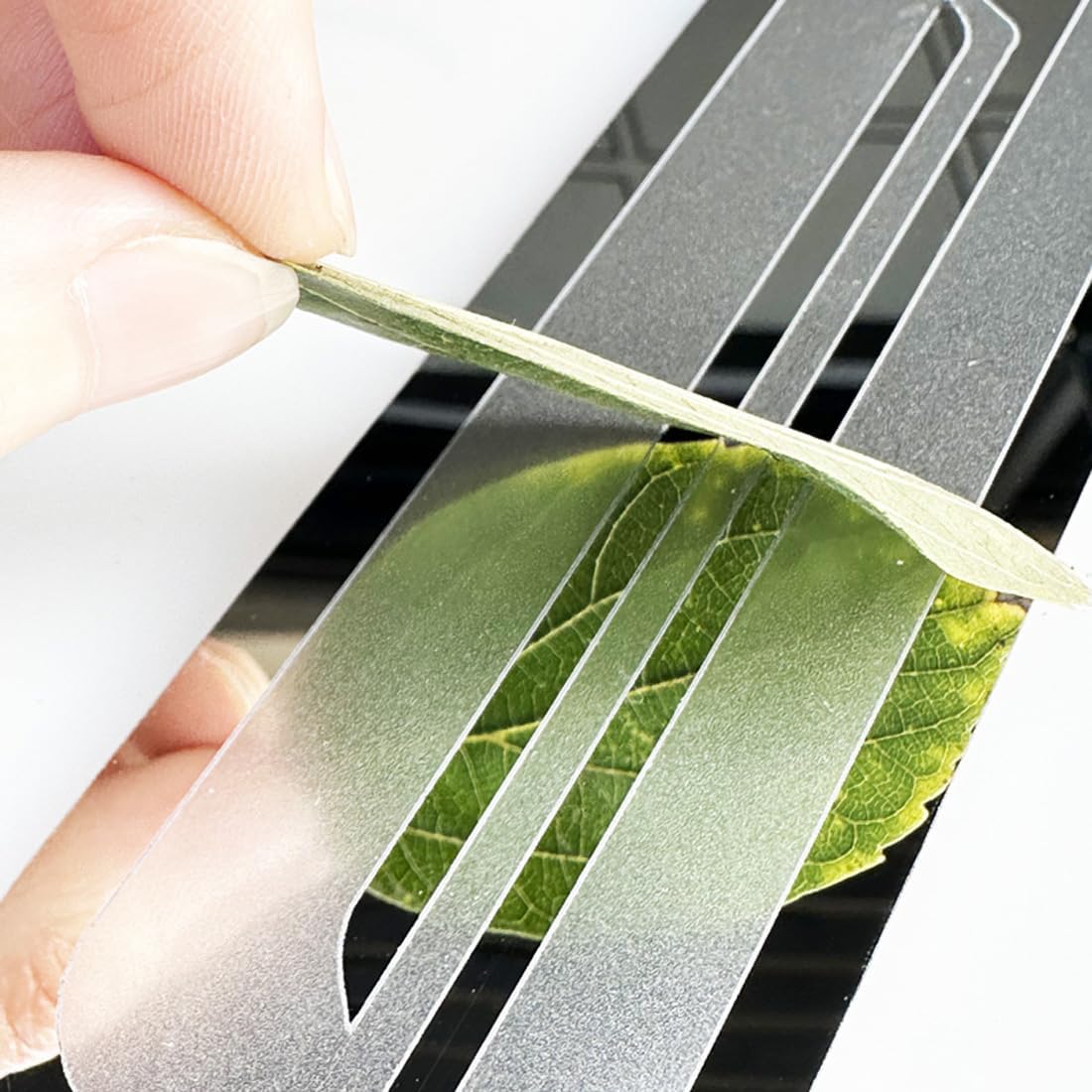 Stainless Door Sill Protector Kick Plate Entry Guard Kit for Subaru Crosstrek Impreza WRX Wilderness 2026 Accessory (Thin Chrome Wilderness)