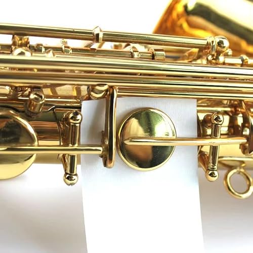 CCeCCe 100 Sheets Saxophone Cleaning Paper Woodwind Mouthpiece Pad Anti-Sticky Button Drying Absorbent Cleaner Papers for Sax Flute Clarinet Oboe Bassoon Maintenance