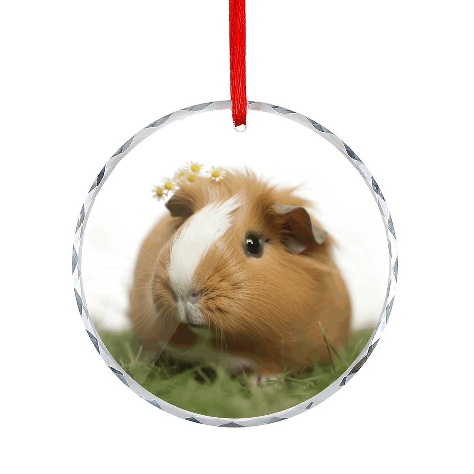 Btcowzrv Style Guinea Pig Round Ornament Hanging Pendant Decor