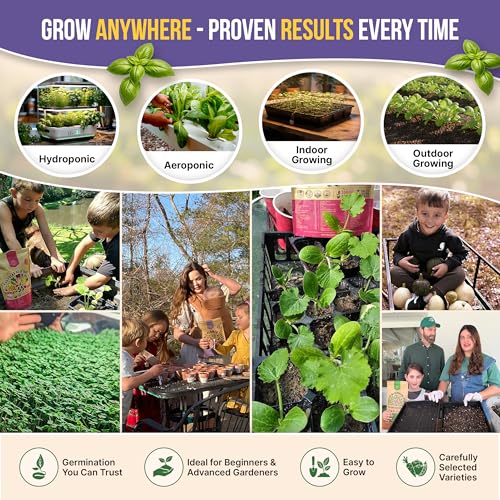 35 Medicinal & Tea Herb Seeds Variety Pack for Indoor & Outdoors. 16,335+ Non-GMO Heirloom Garden Seeds: Anise, Bergamot, Borage, Cilantro, Chamomile, Dandelion, Rosemary Seeds & More - Image 5
