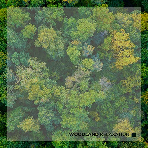 Woodland Relaxation: Affirmations for Peace and Tranquility de Serenity ...