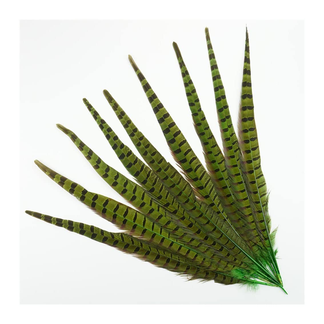 Plumas de faisán naturales en color verde de 40-45 cm para alta costura y tocados artesanales