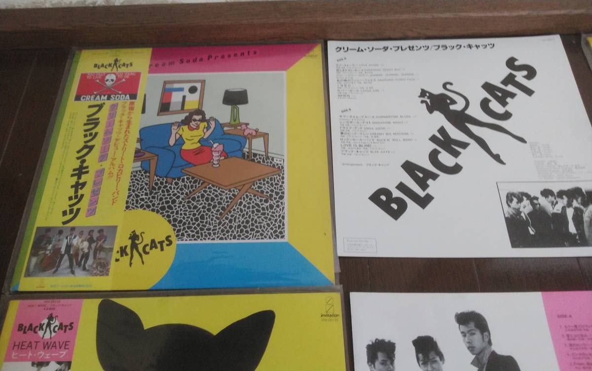 Amazon.co.jp: ブラック、キャッツ BLACK、CATS