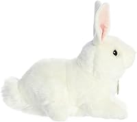 Vista 3 de Aurora - Miyoni - Conejo Blanco Americano de 10