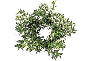 6 Inch Boxwood Wreath | Evergreen Farmhouse Decor