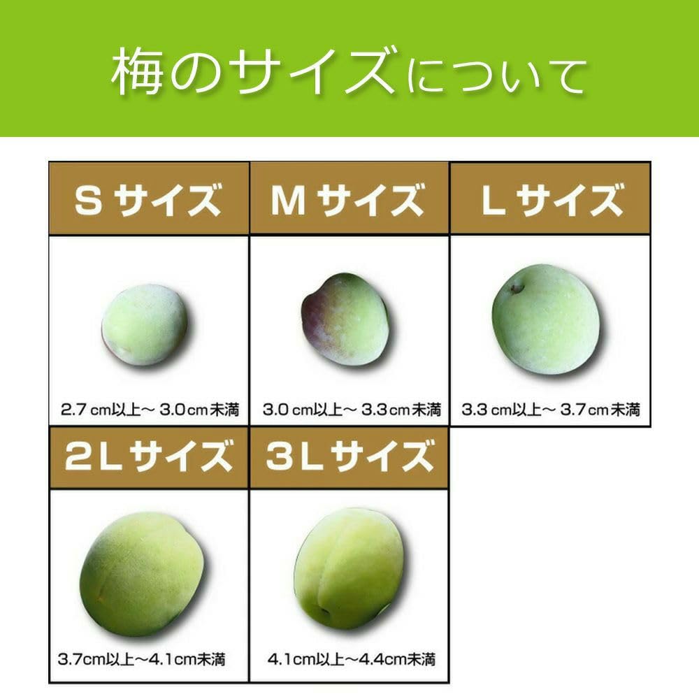 Amazon.co.jp: 伊藤農園 南高梅 青梅 3kg 生梅 和歌山県産 梅酒用 梅干