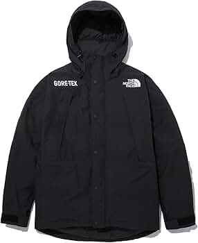 Amazon | (ノースフェイス) THE NORTH FACE メンズ_M GTX MOUNTAIN