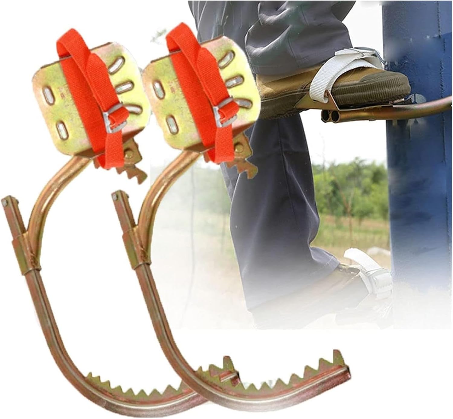 木登り器、木登り道具、 電気技師のための樹木管理用アイゼン、高所