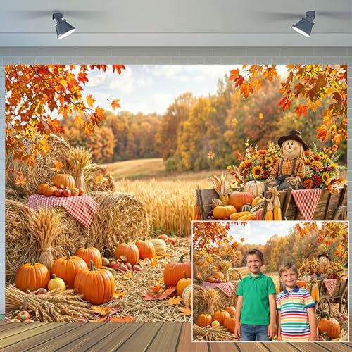 Forêt d'automne et feuilles d'érable sur grand décor mural pour des portraits de famille réussis