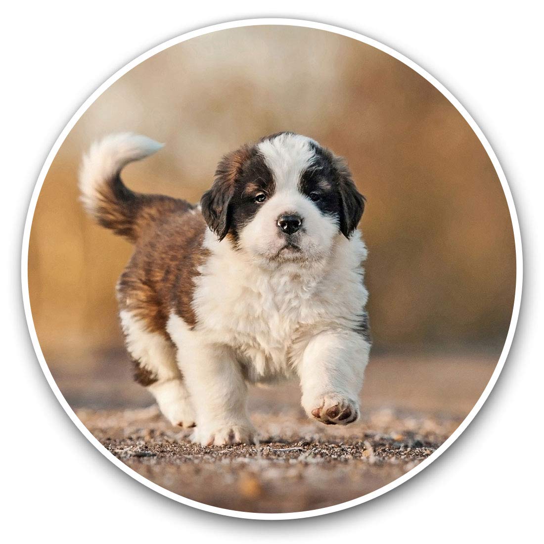2 x 30cmVinyl Stickers - Saint Bernard Dog Puppy Decals for Car Van Luggage Scrap Book Fridge #12671