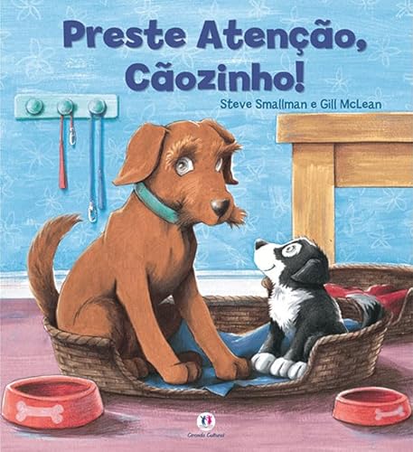 Preste atenção, cãozinho!
