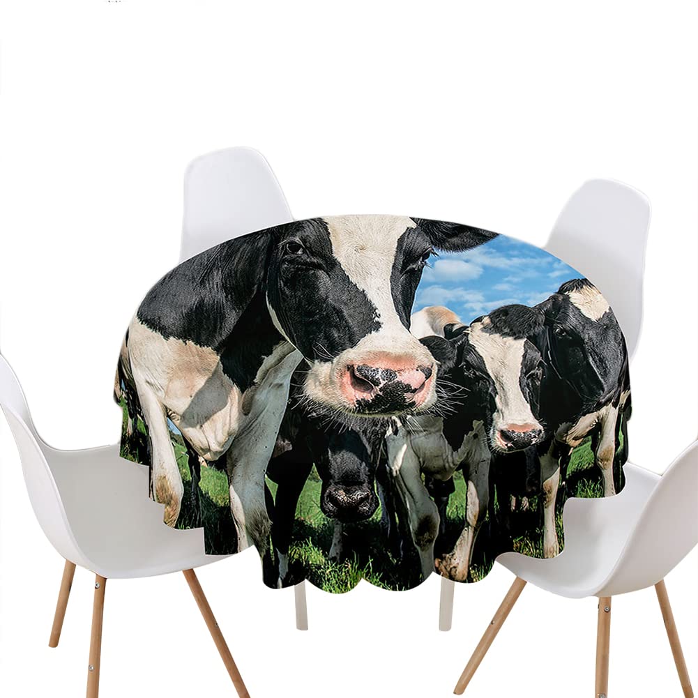 Highdi Nappe Ronde Anti Tache Impermeable, 3D Imprimer Décoration Tissu De Table Facile à Nettoyer Pour Restaurants Cuisine Picnic Protection Tables (Couleur Bronzée,Diamètre 150cm