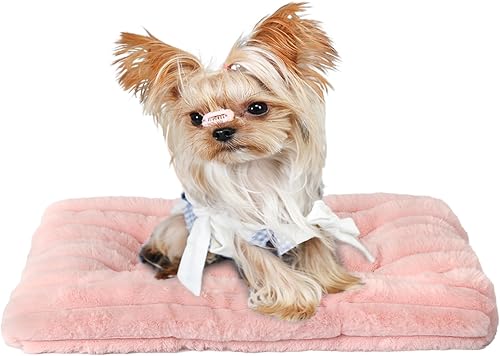 Extra Small Dog Crate Pad 18 x 12 Dog Beds for Tiny Dogs Deluxe Corduroy Fleece Fluffy Comfy Kennel Pad Washable Cute Flat Cat Bed Mat Pink Pet