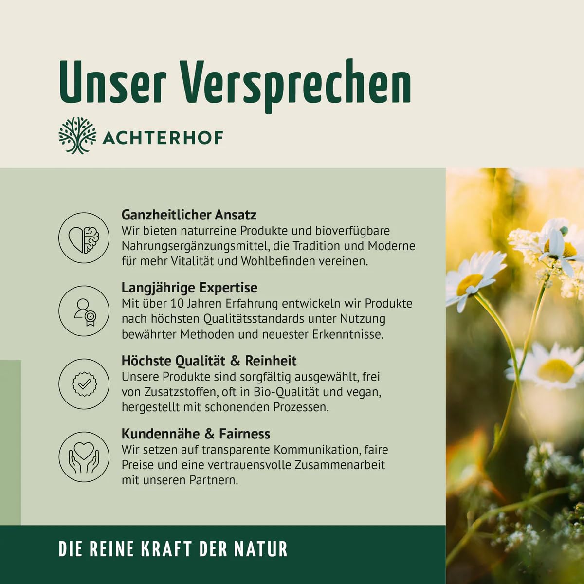Bio Protein Mix rote Beeren 500g | Erbsen- und Reisprotein mit Beeren, Beete und Ballaststoffen | nur natürliche Zutaten in Bio-Qualität | Achterhof