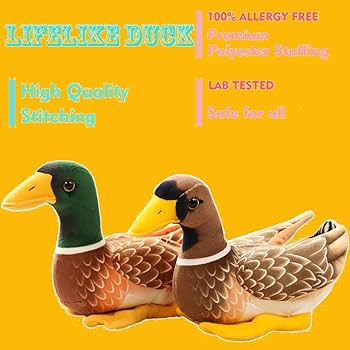 Amazon.co.jp: ELAINREN 本物そっくりのマガモのアヒル ぬいぐるみ Amazon.co.jp: ELAINREN 本物そっくりのマガモのアヒル ぬいぐるみ
