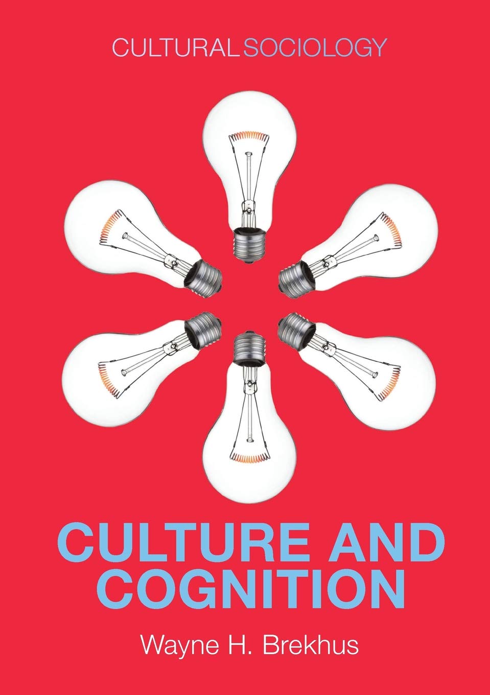Culture and Cognition: Patterns in the Social Construction of Reality (Cultural Sociology)
