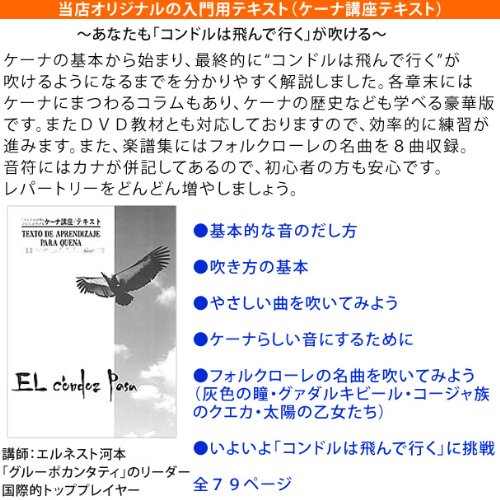 Amazon.co.jp: 本場ボリビア製 ケーナ入門5点セット G調 オリジナル