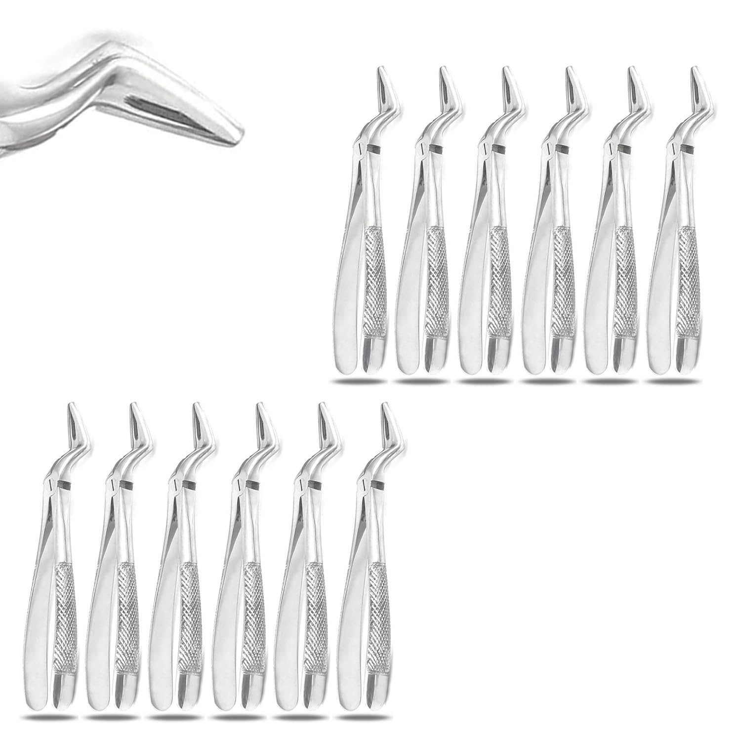 PRECISE CANADA: Set of 12 Dental EXTRACTING Forceps #51L Dental Extraction Instruments