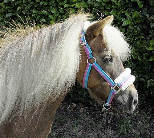 Rhinegold Bright Striped Fur Trim Small Pony Headcollar,Mini Shetland,Turquoise Stripe -  Rhinegold Equestrian