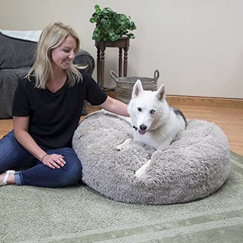Your Best Waterproof Dog Bean Bag Bed by SportPet