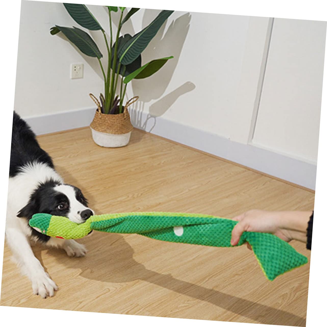Sosoport 3 Stücke Interaktive Quietschende Hundespielzeug Plüsch Kauspielzeug Für Hunde Molaren Spielzeug Helle Farben