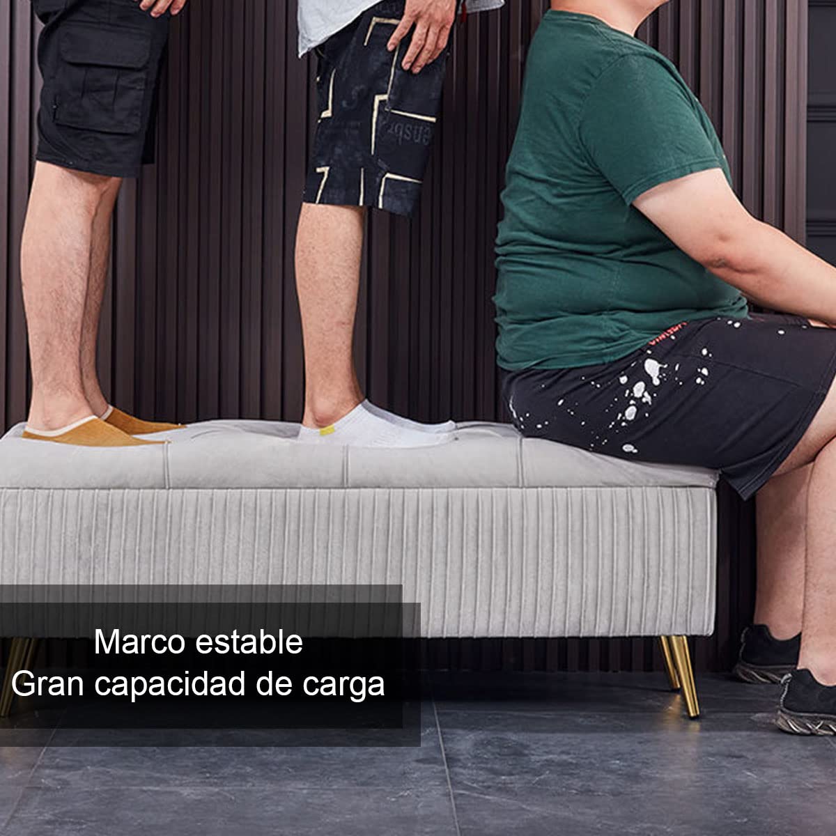 Otomana Acolchada con almacenaje, cómoda banqueta de sofá, Banco bajo de Felpa, 60 x 40 x 45 cm, Ideal para Dormitorio, Sala de Estar, Entrada, Mueble Elegante y Funciona