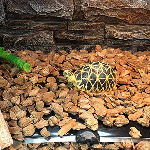 Jainsons-Pet-Products-Heater-For-Turtle-Tank-Reptile-Heating-Pad-Waterproof-Reptile-Heat-Pad-Under-Tank-Terrarium-with-Temperature-Control-Safety-Reptile-Heat-Mat-for-Turtle-Tortoise-Snakes-Lizard-Gec