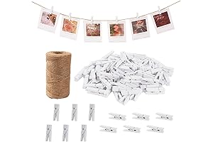 Tiny White Clips, 100 Pack of Miniature Clothespins for Displaying Memories, Tiny...