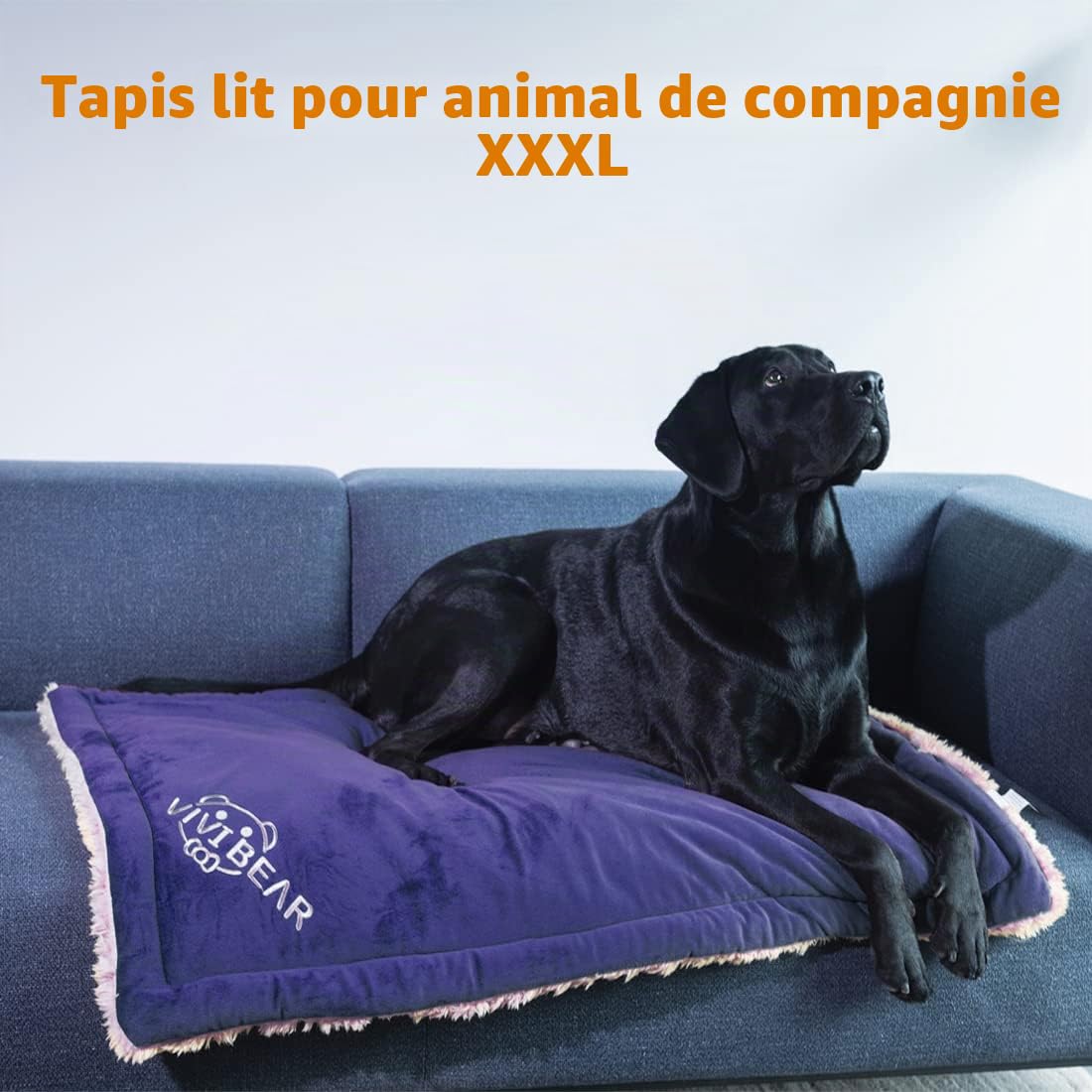 Matelas pour Chien Réversible Couverture Lavable Doux Peluche Coussins Tapis de Voyage Extérieur pour Animaux de Compagnie Convient aux Grands Moyens et Petits Chiens et Chats, Bleu 110x70cm