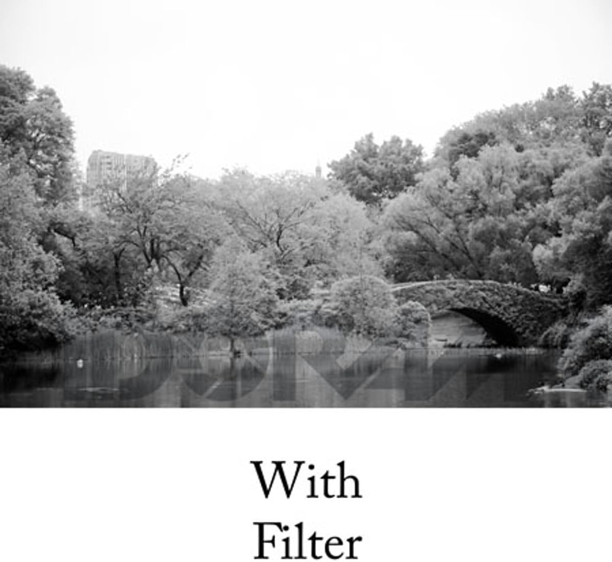 Tiffen 55mm 11 Camera Lens Filter (Green)