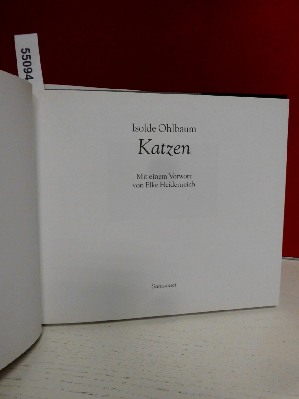 Katzen