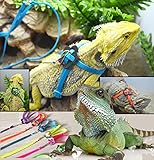 RZRZOO Adjustable Reptile Lizard Harness Leash Multi Color Light Soft Fashion Pet Small Animal，Random Color