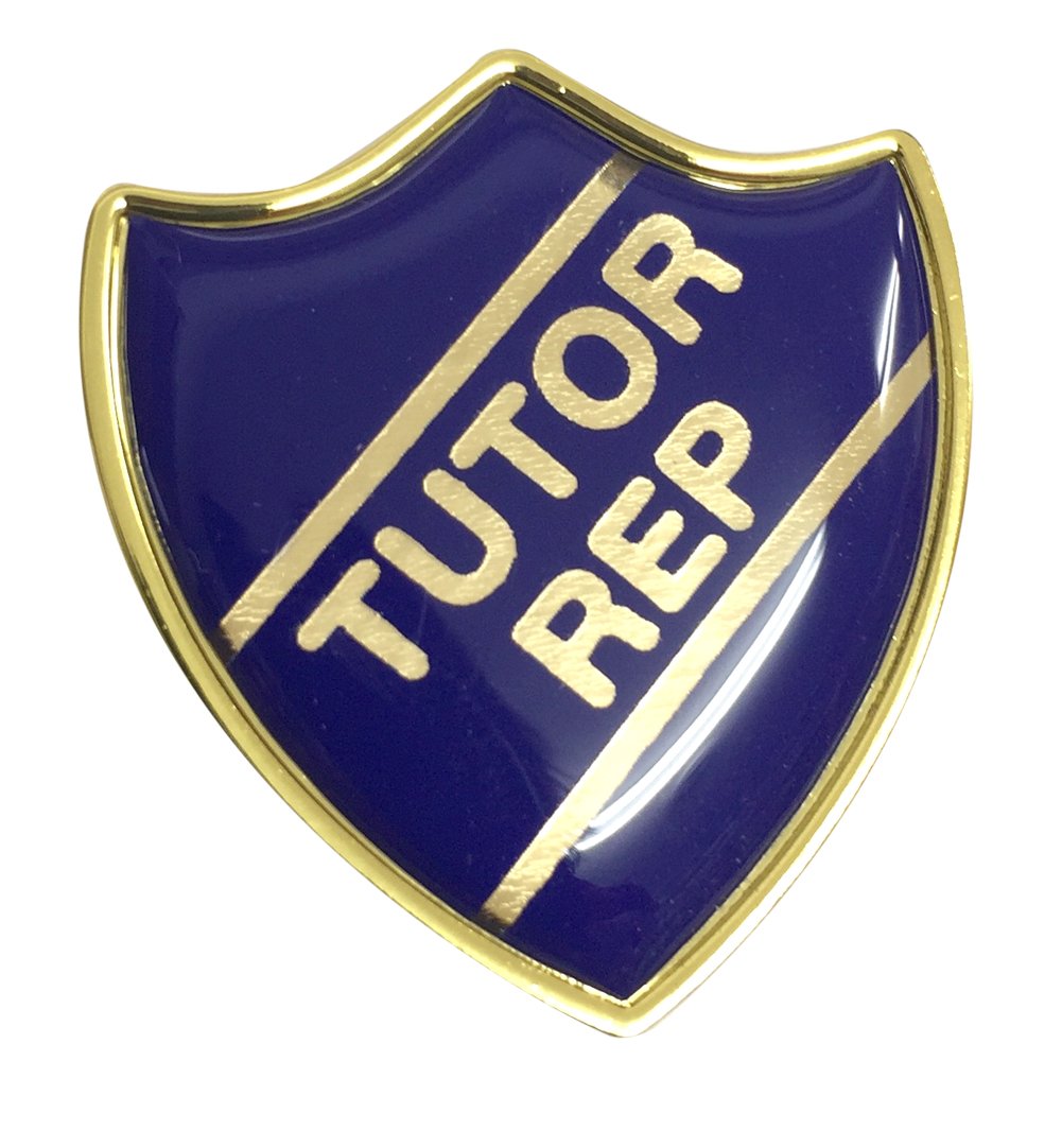 Capricornone Tutor Rep Blue Gel Domed School Shield Badge