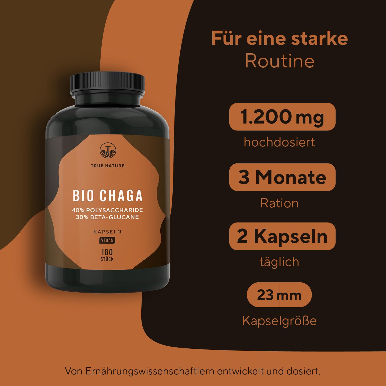BIO Chaga Pilz Extrakt - 180 Kapseln - 12.000mg Extrakt (10:1) - 40% Polysaccharide - 30% Beta Glucane - Schiefer Schillerporling Pulver - Vegan, Deutsche Produktion - TRUE NATURE®