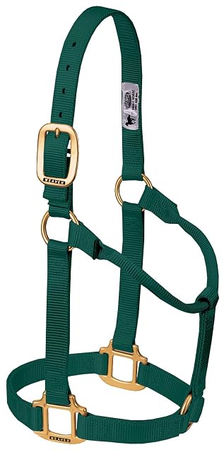 Weaver Leather Cabestro Original de Nailon no Ajustable, pequeño, Verde Cazador