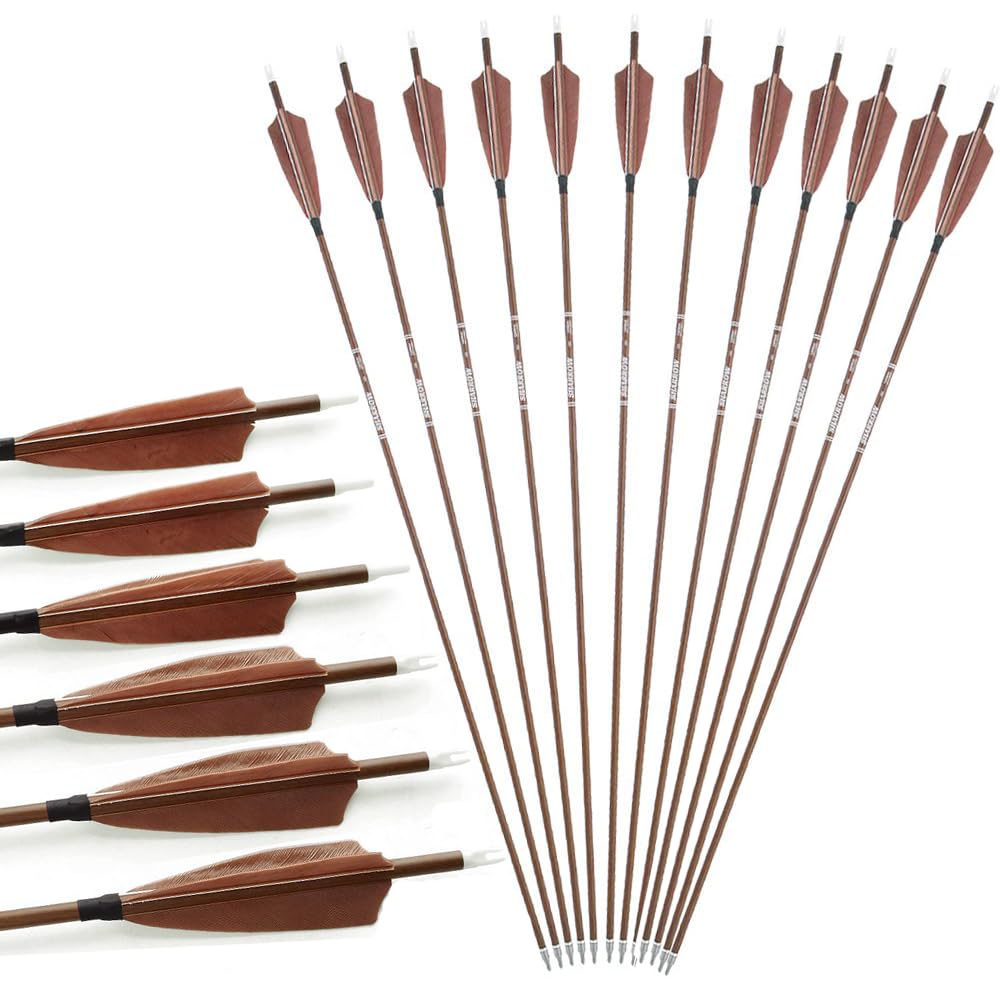Fleches Tir A L'arc 12 Flèches Carbone 30 Pouces Spine 600 - Pour Arc Recurve, Compound, Longbow - Pointes 100 Grains Amovibles Flèches Carbone Tir à L'arc