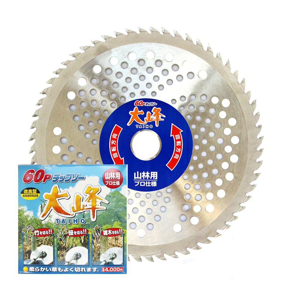 Amazon.co.jp: Fuji Steel Industry FT-011 60P Chip Saw, 10.0 x 2.4