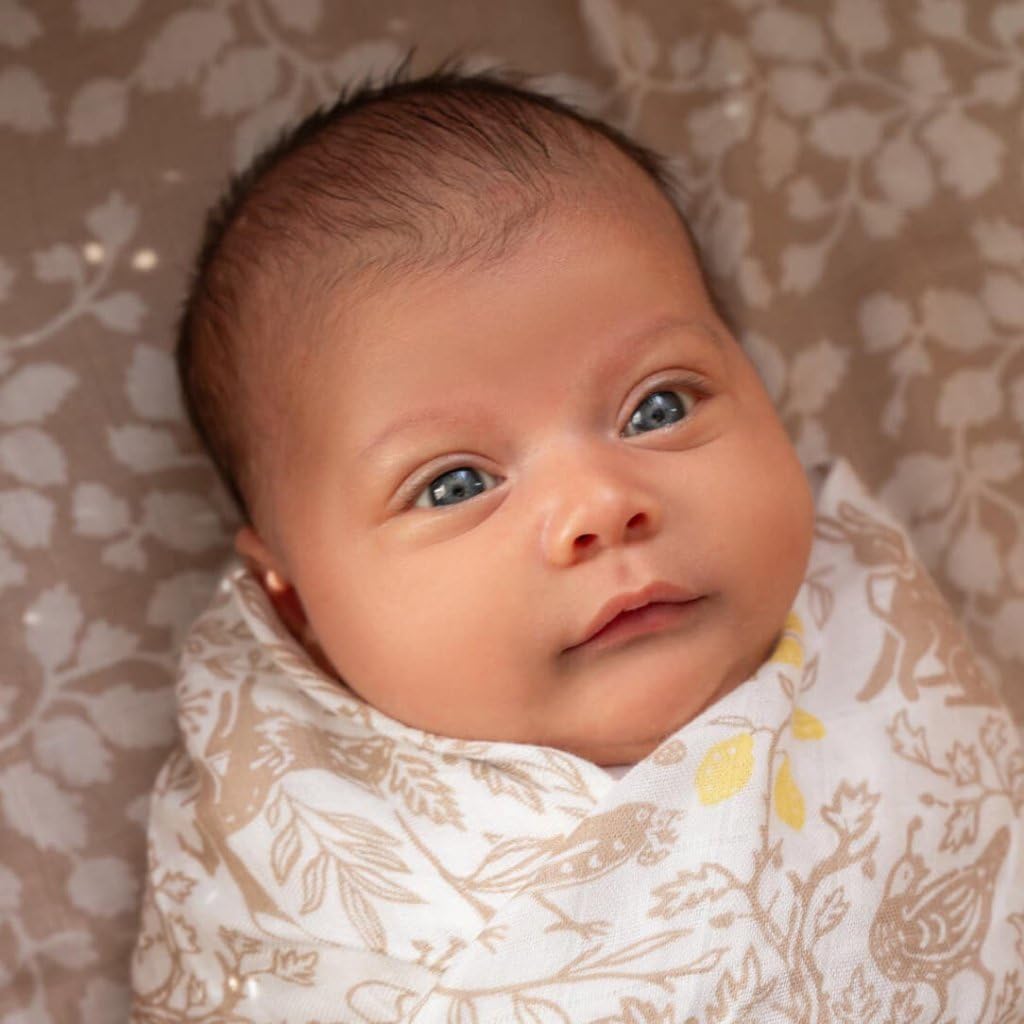 aden + anais Seidig weiche Wickeldecke, Boutique-Musselin-Decken für Mädchen und Jungen, Baby-Wickeltuch, ideales Wickelset für Neugeborene und Kleinkinder, perfektes Duschgeschenk, 3er-Pack,