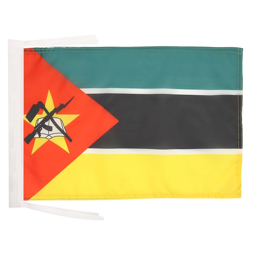 Bandiera Palestina 45x30 Cm - In Poliestere Con Cordicelle - Per Interni Ed Esterni - AZ FLAG