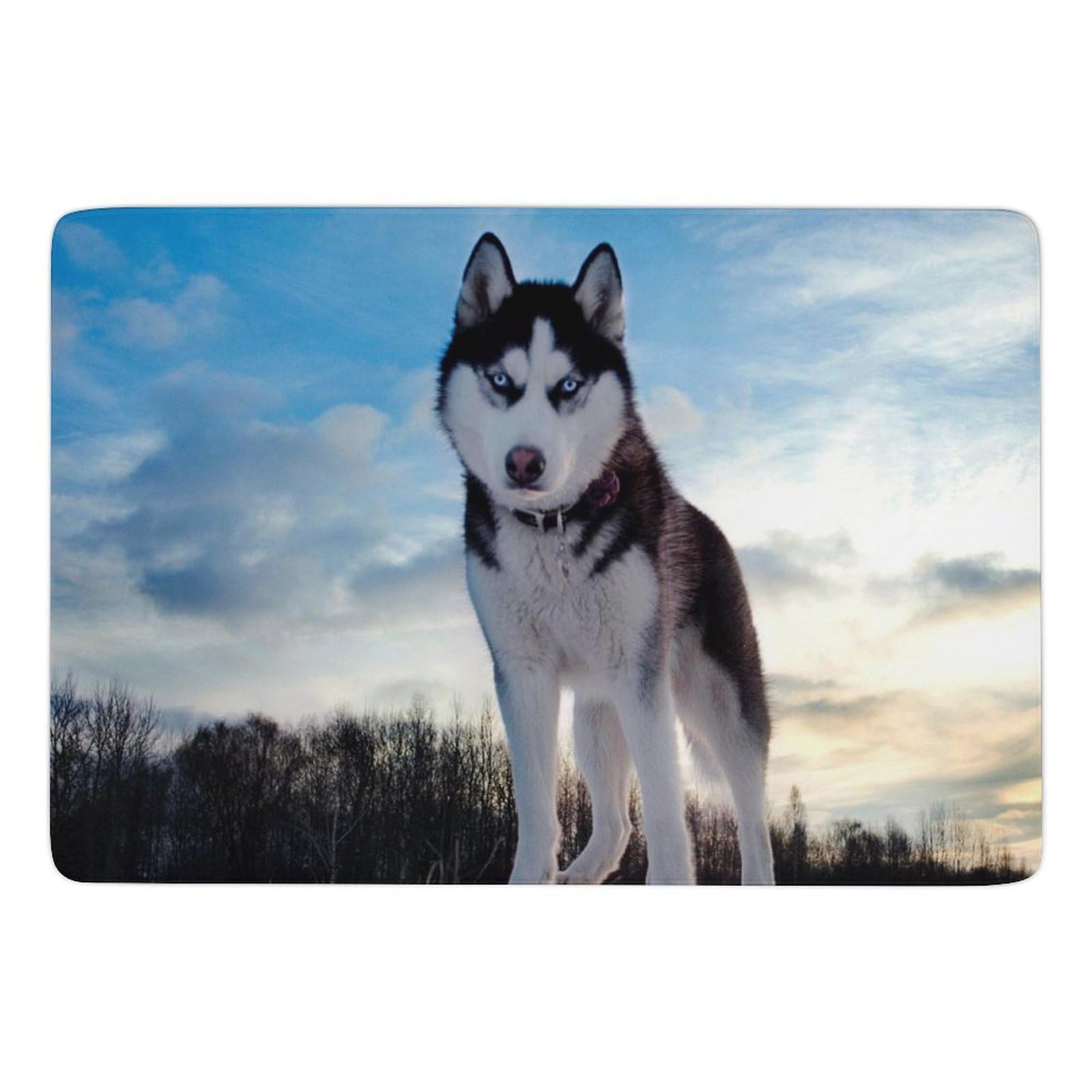 Tapis de sol Husky en velours de corail confortable pour salon 150x100 cm