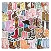 55 calcomanías para botas de vaquero, calcomanías de vinilo impermeable para botella de agua, laptop, equipaje, patineta, guitarra, álbum de recortes, regalos para adolescentes, niñas y adultos