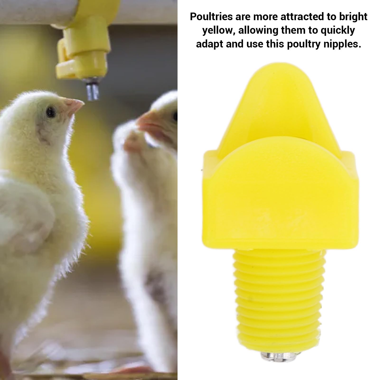 Hühnertränke Zum Aufhängen - 1L Automatische Tränke Für Hühner & Enten