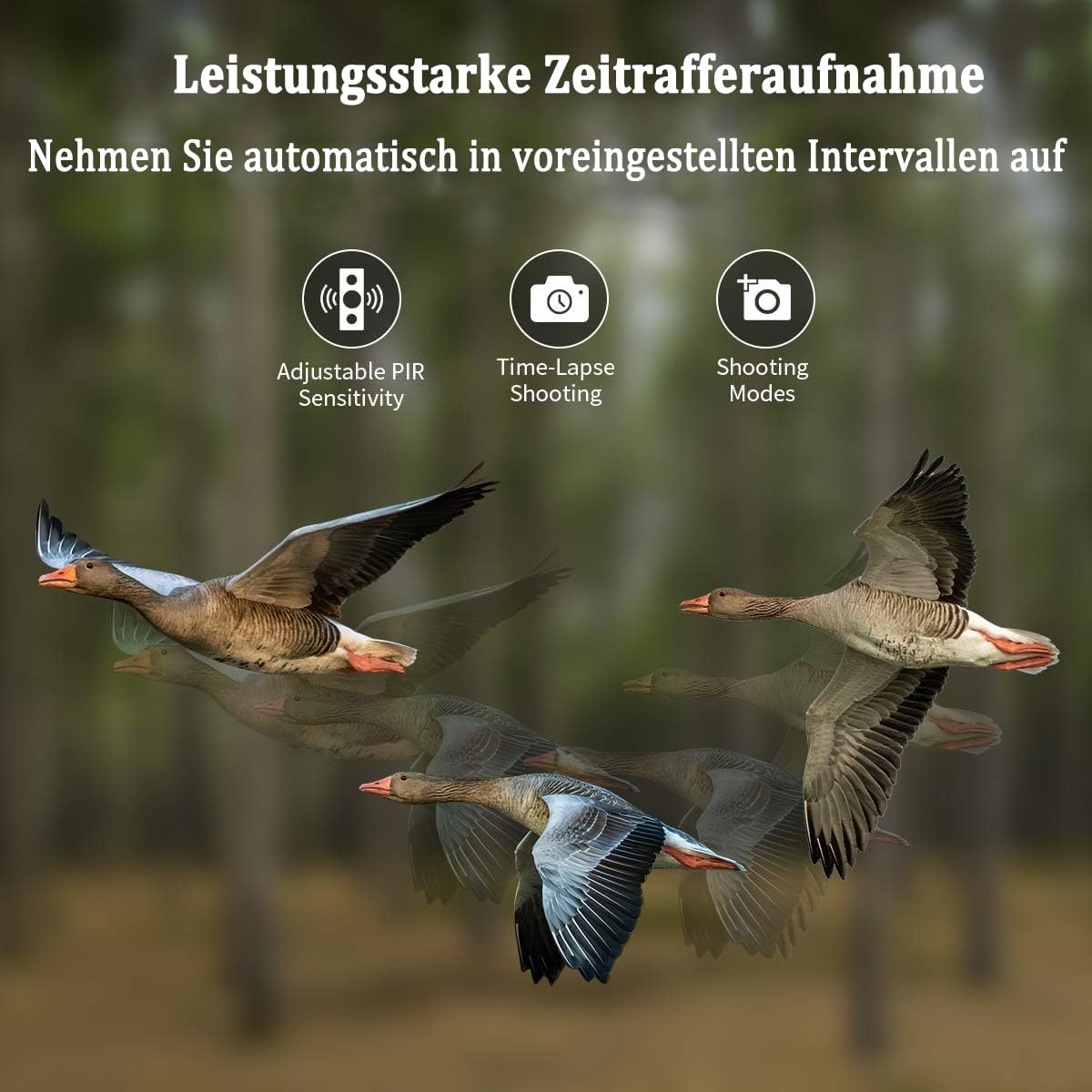 Wildkamera 4G APP, 120 MP 4K, Wildtierkamera mit SIM-Karte, Telefon-Sende-Foto, Nachtsichtkamera 850nm IR LED, Wildkamera mit Bewegungsmelder Nachtsicht, 120° Erfassungswinkel, IP65